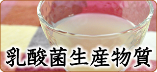 乳酸菌生産物質